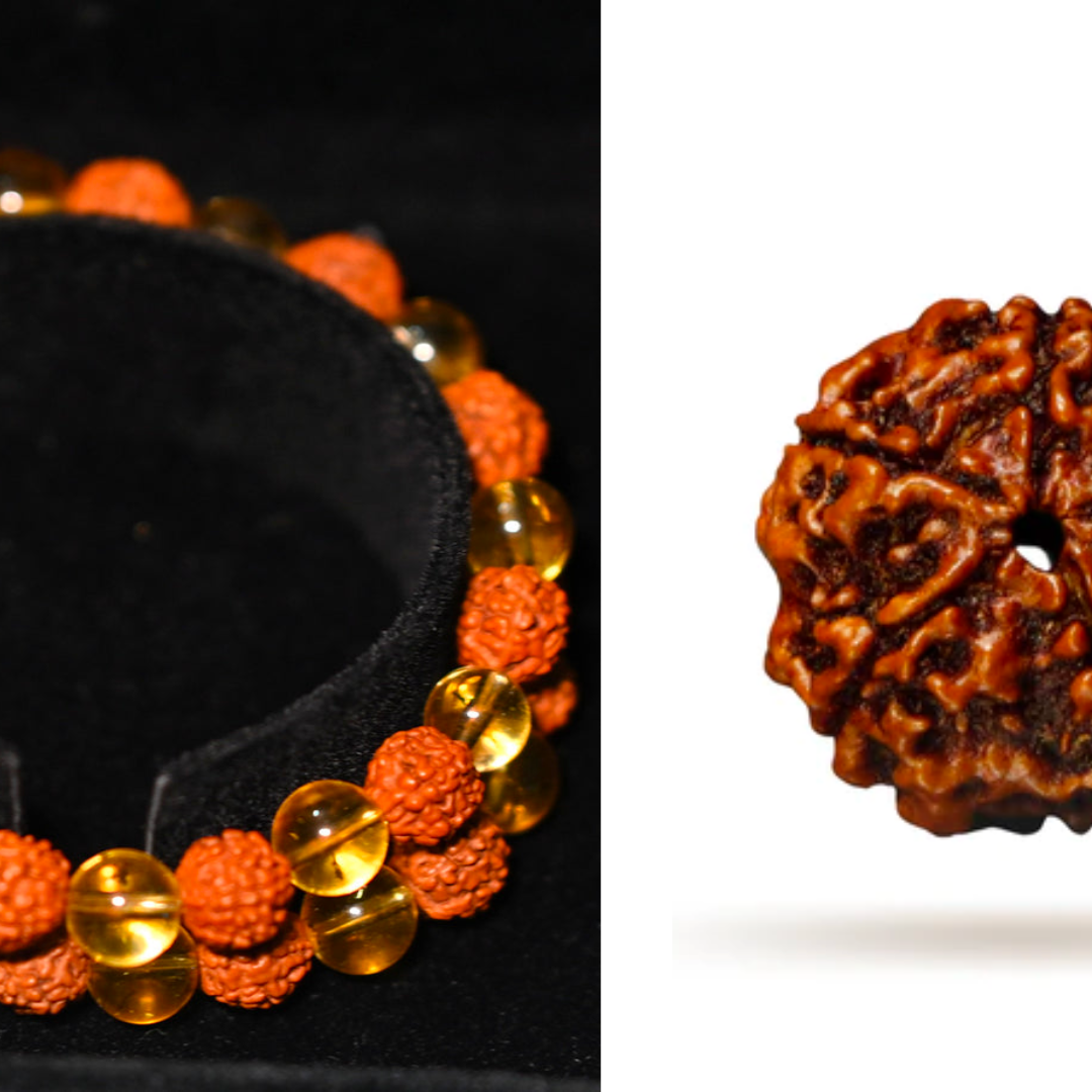 5 Mukhi Rudraksha + Rudraksh citrine crystal bracelet. The Key to Success and Happiness