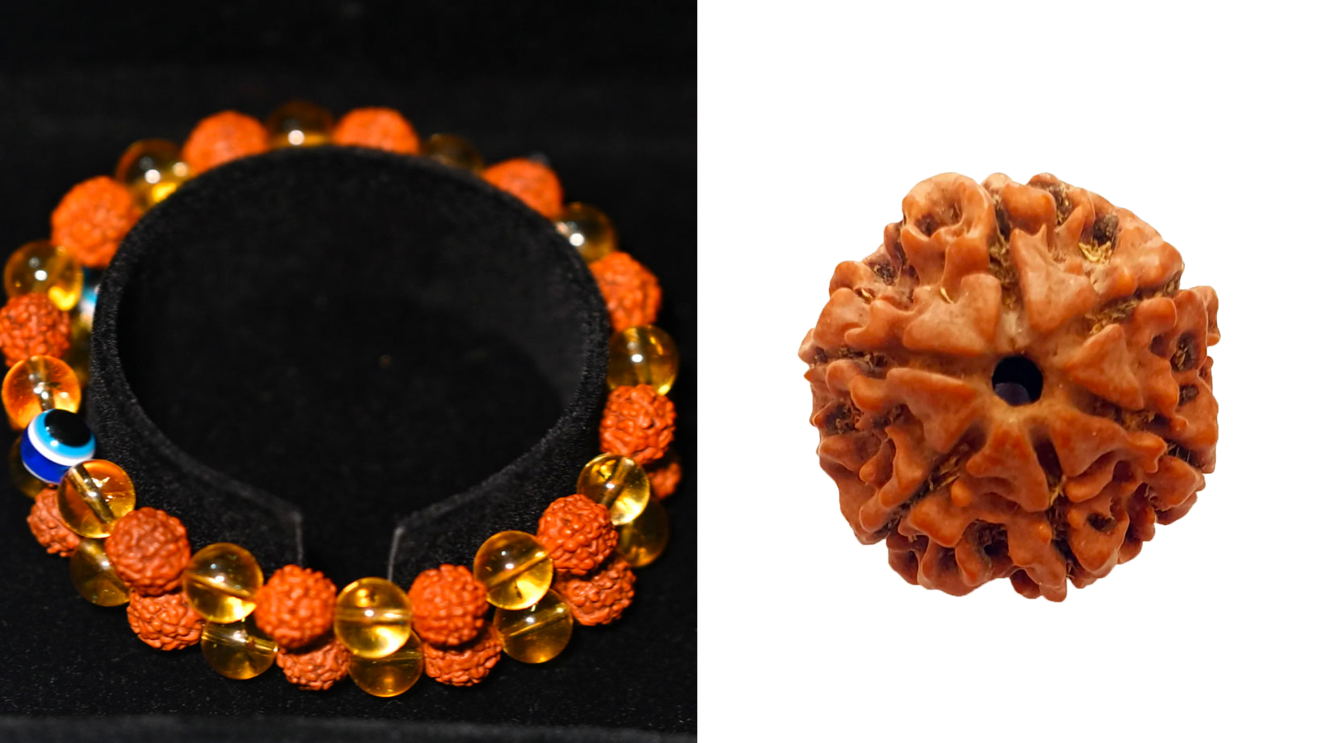 Authentic Rudraksha Bracelet Combination For Selfconfidence, Strength And  Leadership | Rudrapuja