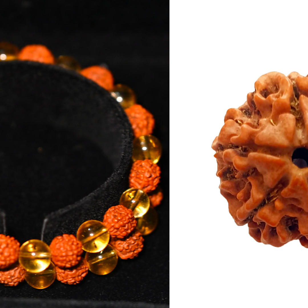 6 Mukhi Rudraksha + Rudraksh citrine crystal bracelet. The Key to Success and Happiness